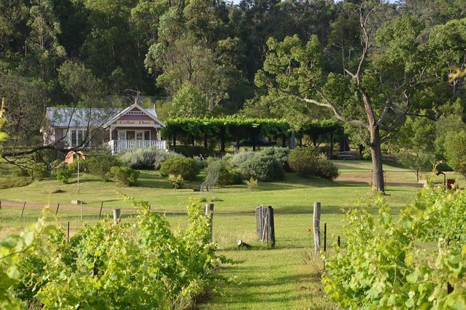 Day Trip With Chef-Led Hunter Valley Gourmet Food And Wine From Sydney - Accommodation ACT 1