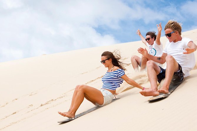 Port Stephens Day Tour with Dolphin Watching Sandboarding  Australian Wildlife - Accommodation Nelson Bay
