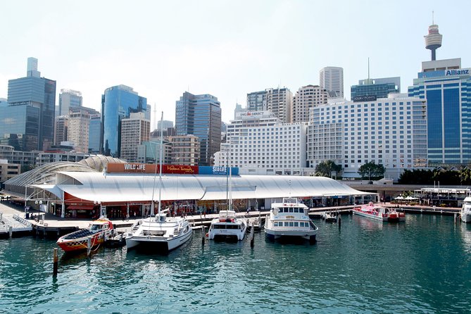 Sydney Attraction Pass: Darling Harbour Experience Ticket - C Tourism 0