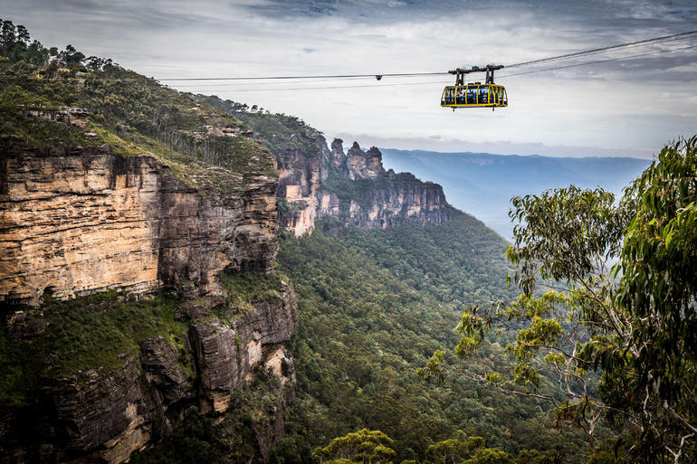 Blue Mountains Nature And Wildlife Day Tour From Sydney - thumb 19