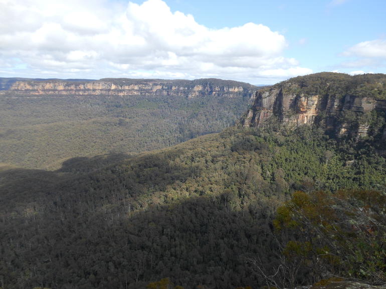 Blue Mountains Nature And Wildlife Day Tour From Sydney - thumb 12