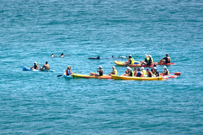 The Byron Bay Sea Kayak Tour - Accommodation ACT 12