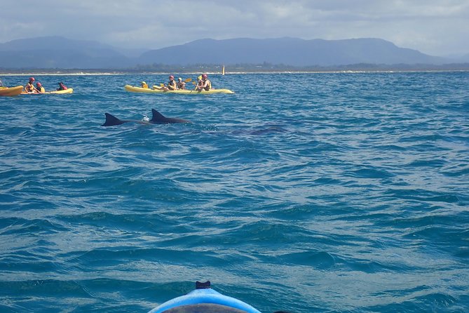 The Byron Bay Sea Kayak Tour - Attractions Perth 4