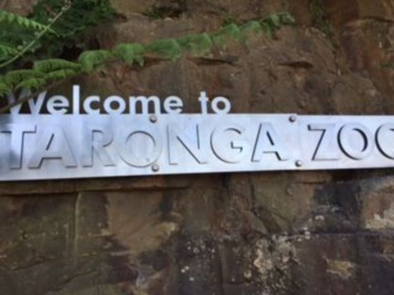 Sydney Taronga Zoo General Entry Ticket - thumb 4