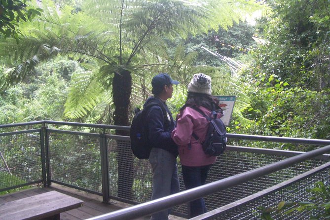 Blue Mountains Private Day Tour From Sydney With Wildlife Park And Cruise - Accommodation ACT 13