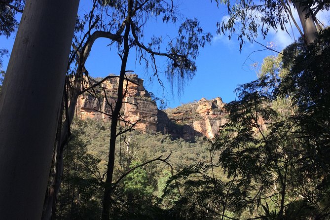 Blue Mountains Private Day Tour From Sydney With Wildlife Park And Cruise - Accommodation ACT 10
