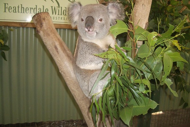 Blue Mountains Private Day Tour From Sydney With Wildlife Park And Cruise - Accommodation ACT 6