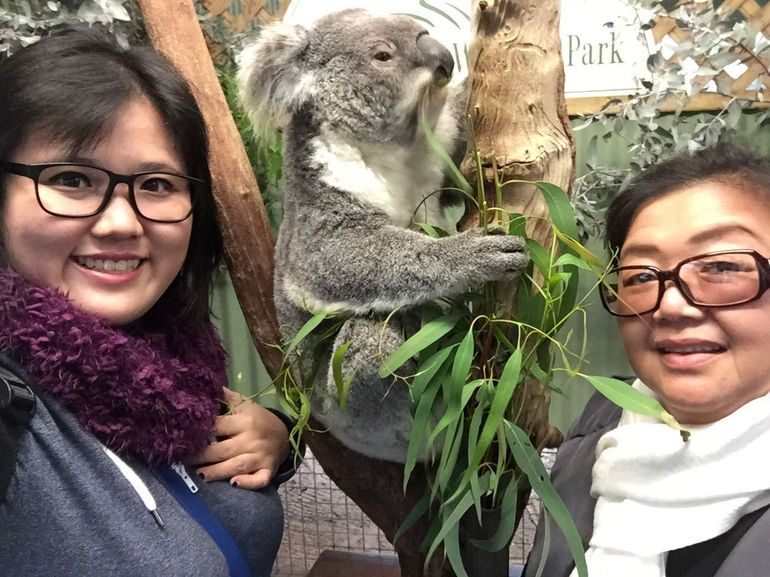 Small-Group Blue Mountains Day Trip From Sydney With Wildlife Park - Attractions Perth 23
