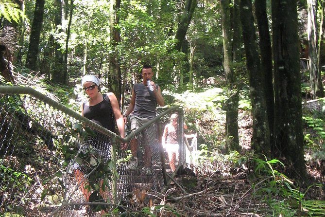 Small-Group Blue Mountains Day Trip From Sydney With Wildlife Park - Accommodation ACT 32