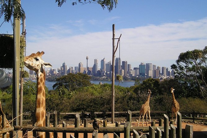 Sydney Taronga Zoo\'s Australian Animals Tour - thumb 0