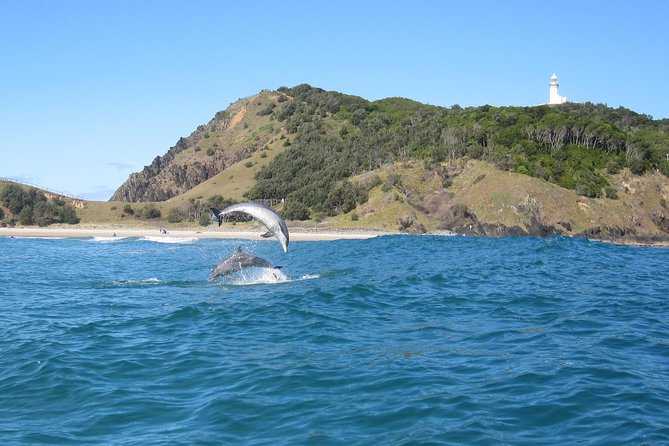 Kayaking With Dolphins In Byron Bay Guided Tour - thumb 1