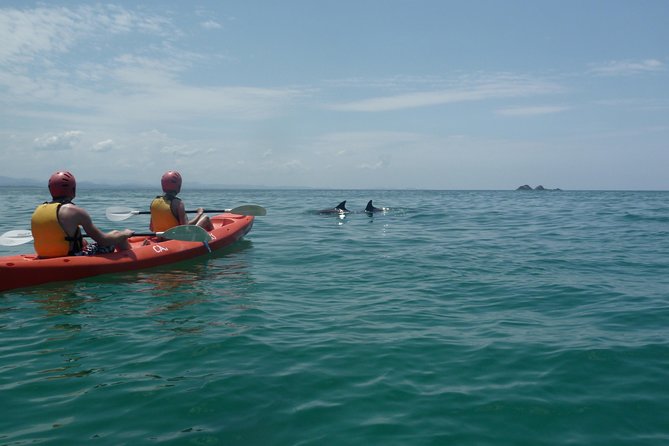Kayaking With Dolphins In Byron Bay Guided Tour - thumb 10
