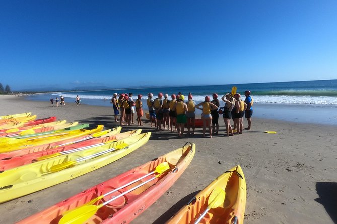Kayaking With Dolphins In Byron Bay Guided Tour - thumb 17