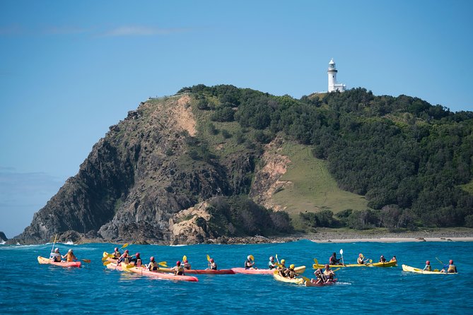 Kayaking With Dolphins In Byron Bay Guided Tour - thumb 2