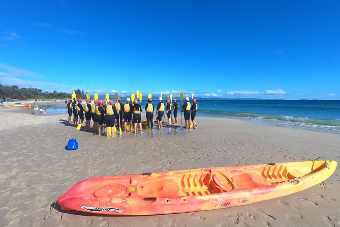 Kayaking With Dolphins In Byron Bay Guided Tour - thumb 3