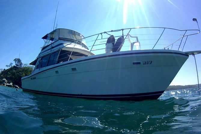 Boat Hire Sydney Harbour - Accommodation ACT 3