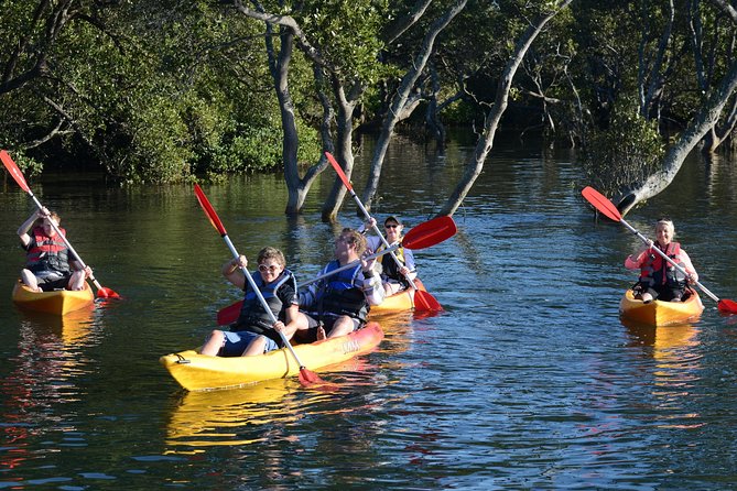 Kayak and SUP Guided Tours - Accommodation Sunshine Coast