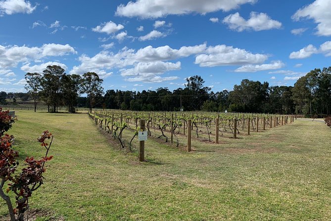 Private Day Trip To Hunter Valley From Sydney With Pickup - thumb 13