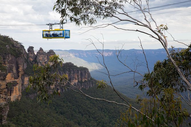 Blue Mountains Day Tour Including Three Sisters, Scenic World And Wildlife Park - Accommodation ACT 1