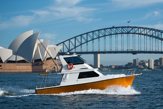 Private Whale Watching Tour Sydney - Luxury Yacht Up To 12 Guests - Accommodation ACT 0