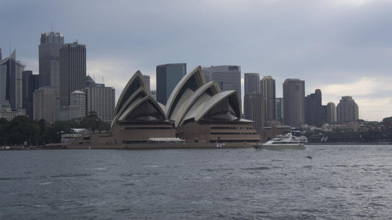 Sydney Whale-Watching Cruise Including Lunch Or Breakfast - Accommodation ACT 10