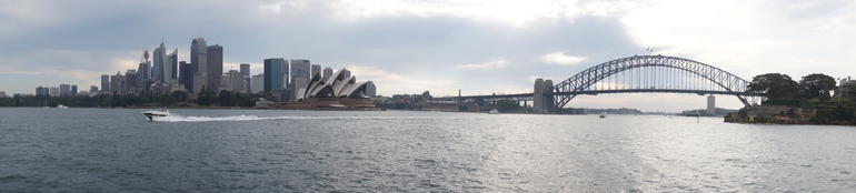Sydney Whale-Watching Cruise Including Lunch Or Breakfast - Accommodation ACT 11