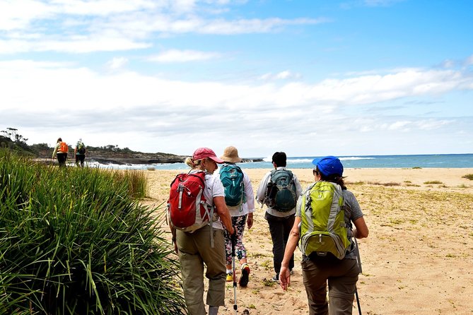 5 Day Murramarang Coast Journey From Sydney - Guided Hike With Villa Accom - thumb 5