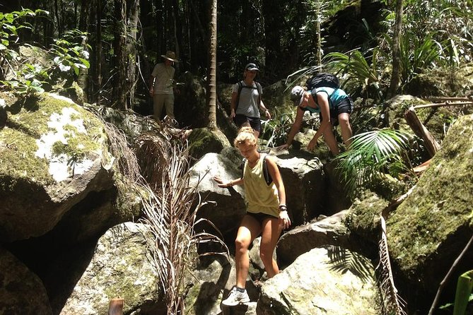 Byron Bay Hinterland Tour Including Rainforest Walk To Minyon Falls - thumb 12