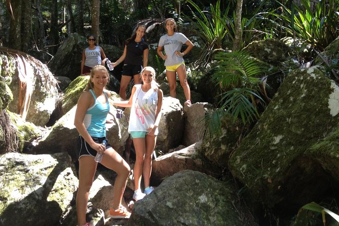 Byron Bay Hinterland Tour Including Rainforest Walk To Minyon Falls - thumb 8