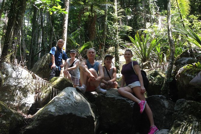 Byron Bay Hinterland Tour Including Rainforest Walk To Minyon Falls - thumb 4