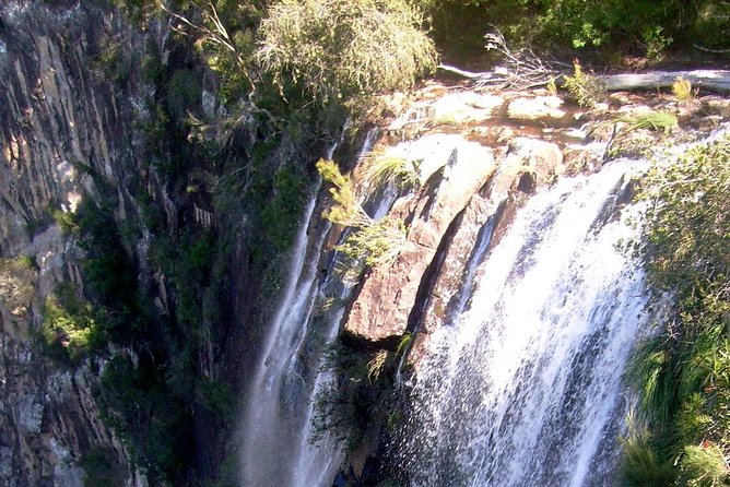 Byron Bay Hinterland Tour Including Rainforest Walk To Minyon Falls - thumb 14