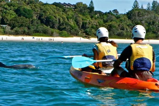 Byron Bay Kayaking With Dolphins And Mount Warning Sunrise Climb Including Overnight Camping And BBQ Dinner - Accommodation ACT 9