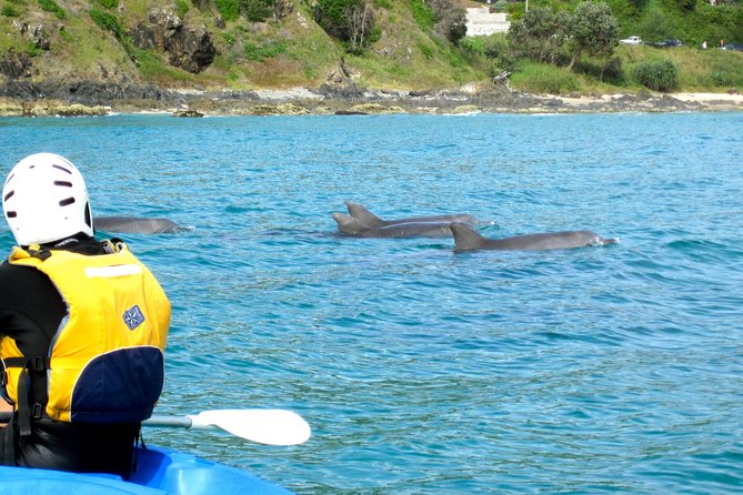 Byron Bay Kayaking With Dolphins And Mount Warning Sunrise Climb Including Overnight Camping And BBQ Dinner - thumb 8