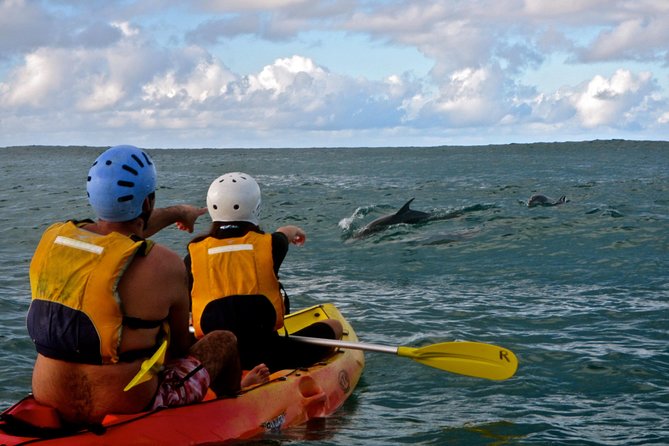 Byron Bay Kayaking With Dolphins And Mount Warning Sunrise Climb Including Overnight Camping And BBQ Dinner - thumb 3