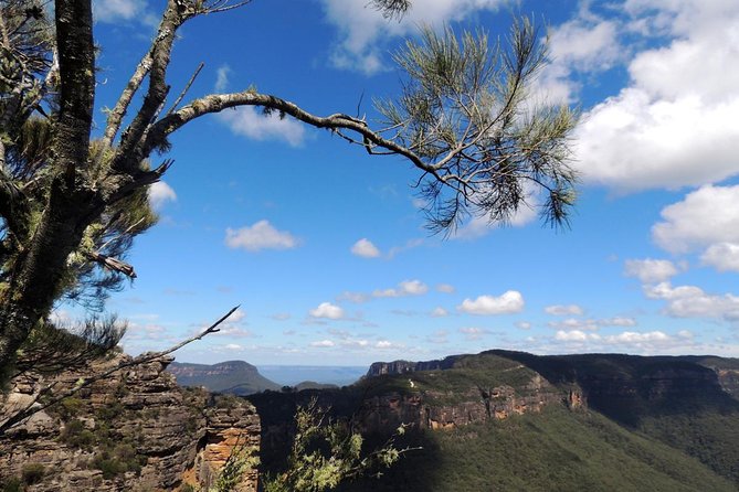 Blue Mountains Small-Group Insider Tour From Sydney - Accommodation ACT 15