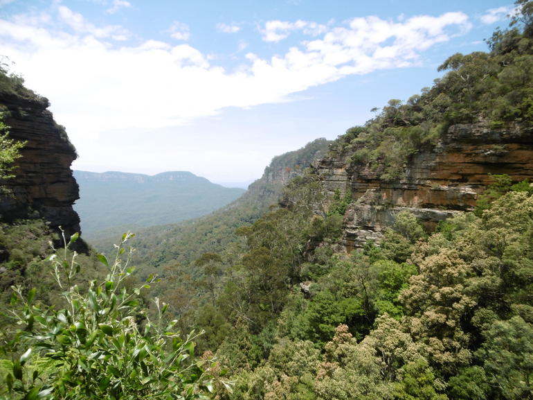 Blue Mountains Day Trip Including Parramatta River Cruise - Accommodation ACT 8