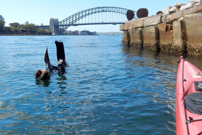 Kayak To Goat Island In Sydney Harbour With Local - thumb 3