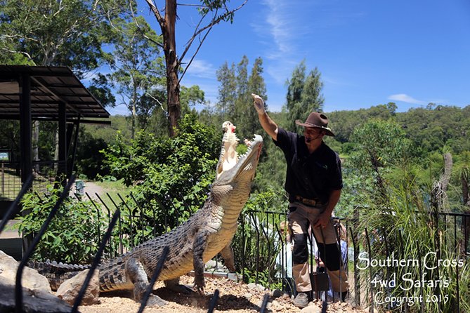 Private Shoalhaven Zoo Experience from Sydney - Accommodation Airlie Beach