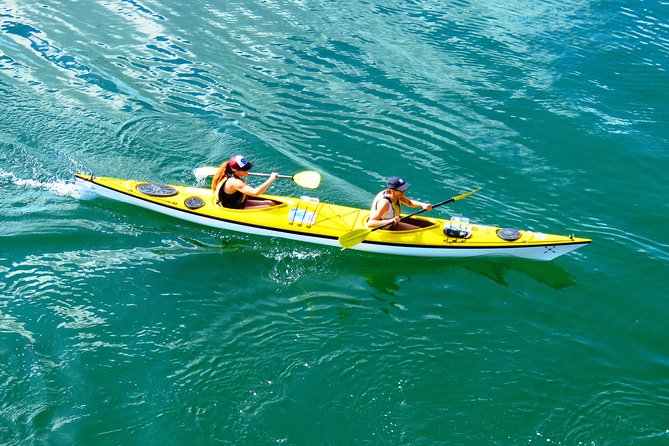 Self-Guided Sydney Middle Harbour Kayak 3 Hour Tour By Double Kayak - thumb 2