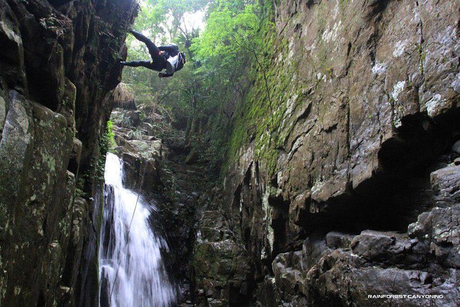 Full Day Sub-Tropical Rainforest Canyoning Adventure From Sydney - thumb 1