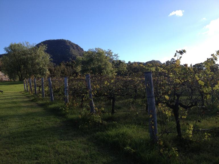 Small Group All Inclusive Hunter Valley Wine Tasting Tour From Sydney - thumb 17