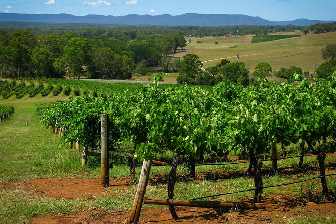 Small Group All Inclusive Hunter Valley Wine Tasting Tour From Sydney - Accommodation ACT 0