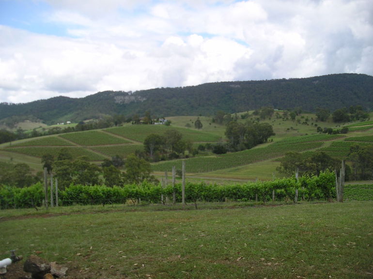 Small Group All Inclusive Hunter Valley Wine Tasting Tour From Sydney - Accommodation ACT 9