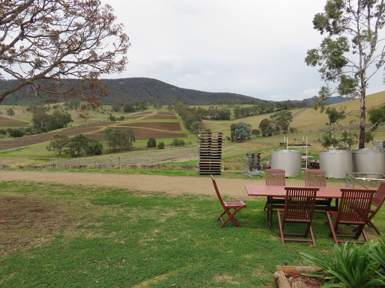 Hunter Valley Wine Tour From Sydney Incl Lunch, Cheese, Chocolate And Distillery - thumb 21