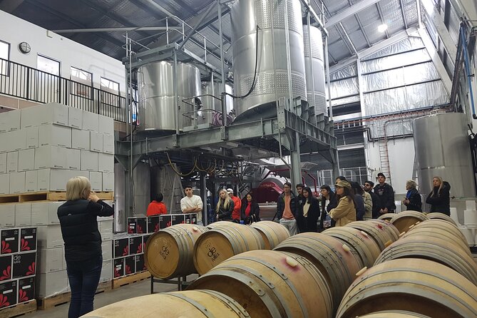 Hunter Valley Wine Tour From Sydney Incl Lunch, Cheese, Chocolate And Distillery - thumb 24