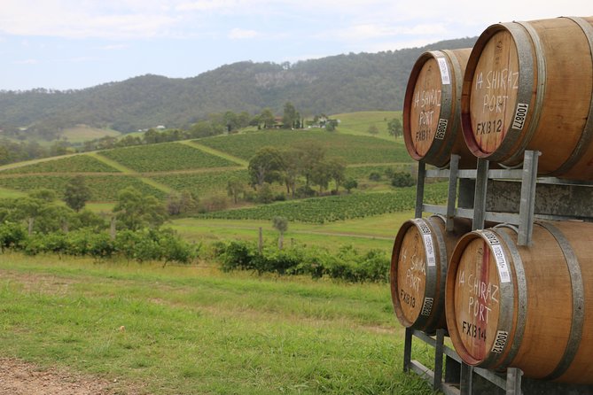 Hunter Valley Wine Tour From Sydney Incl Lunch, Cheese, Chocolate And Distillery - Accommodation ACT 26