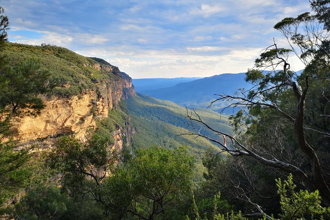Sunset Blue Mountains Wilderness & Wildlife Tour (Without The Crowds) - thumb 14