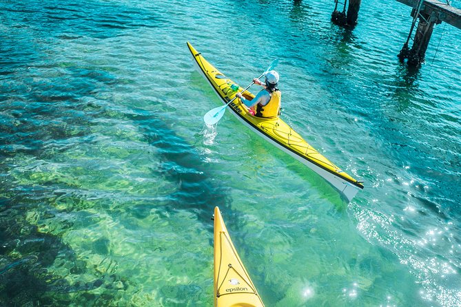 Self-Guided Sydney Middle Harbour Kayak 3 Hour Tour By Single Kayak - C Tourism 7