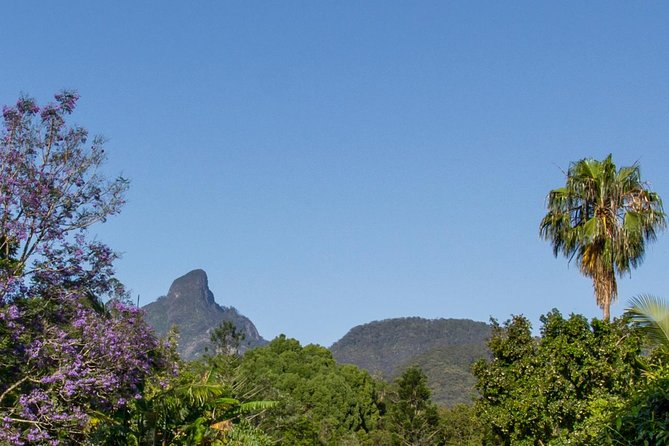 Mount Warning Day Trip From Byron Bay Including BBQ Lunch - Accommodation ACT 3