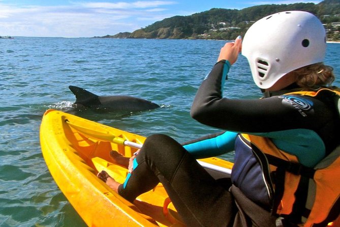 Byron Bay Combo: Hinterland Tour Including Minyon Falls And Kayaking With Dolphins - thumb 0